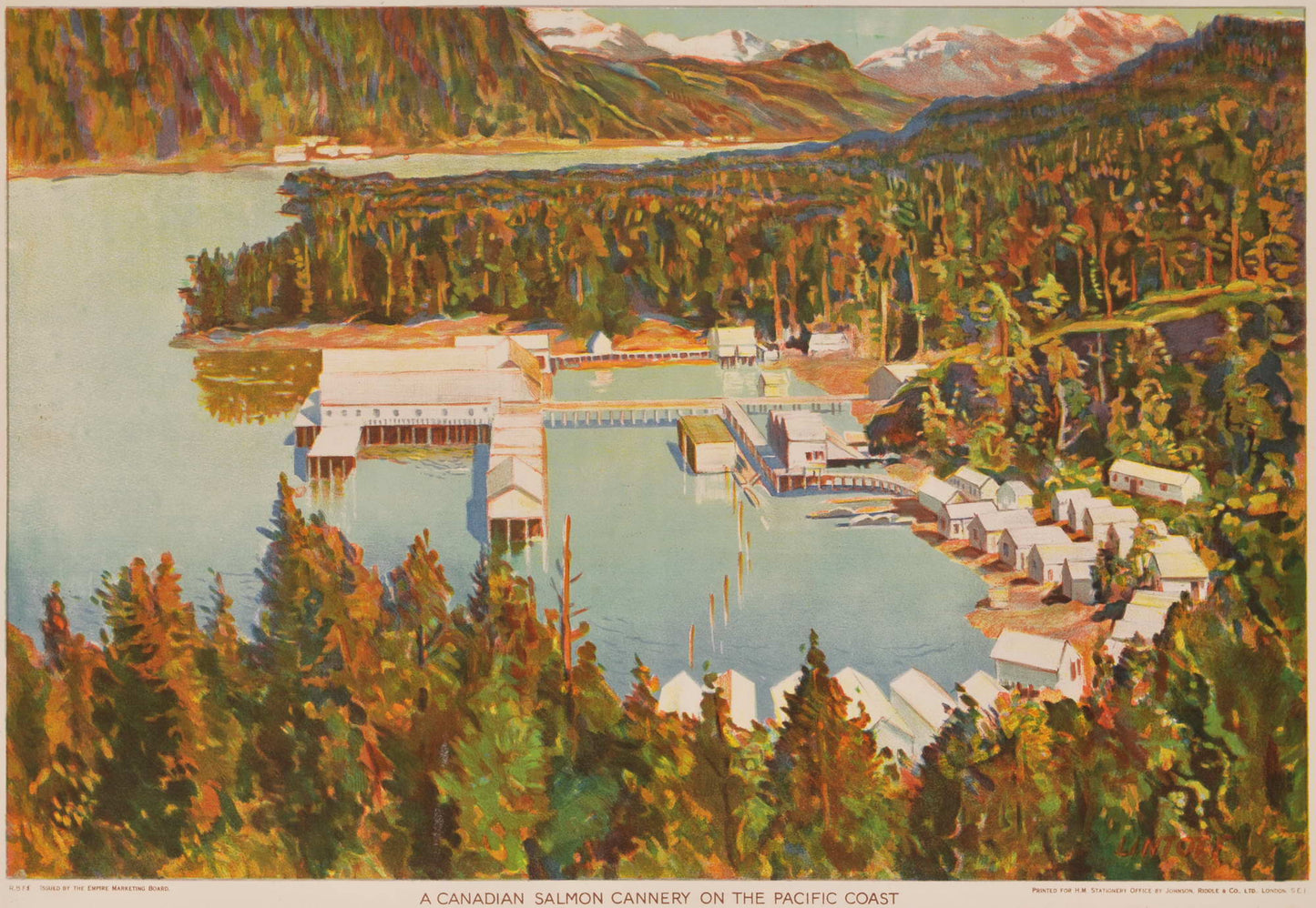 A Canadian Salmon Cannery On The Pacific Coast