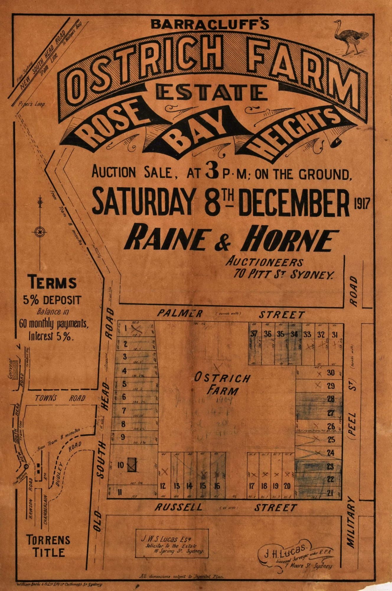 Barracluff's Ostrich Farm Estate. Rose Bay Heights