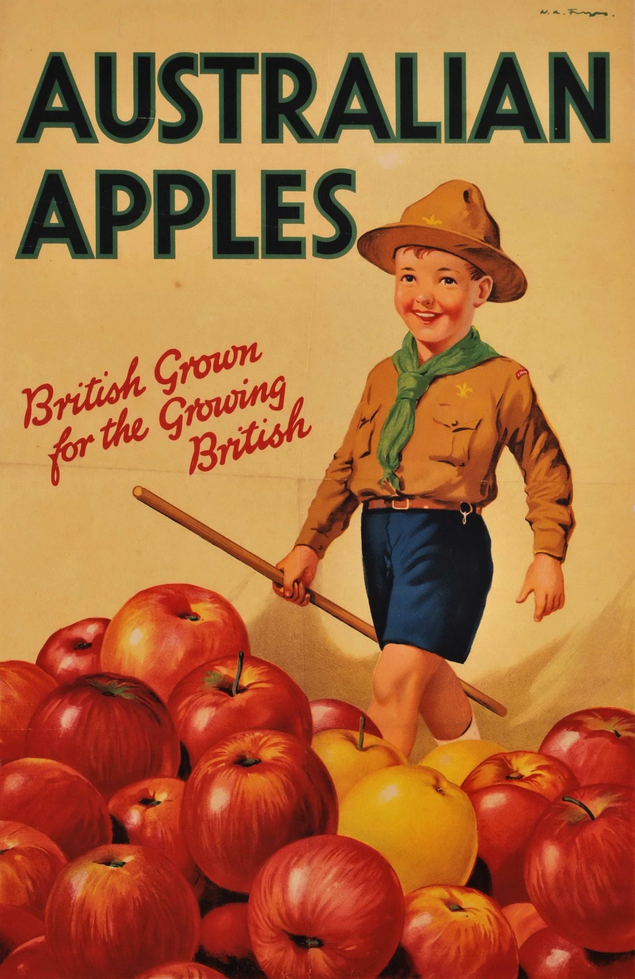 Australian Apples. British Grown For The Growing British