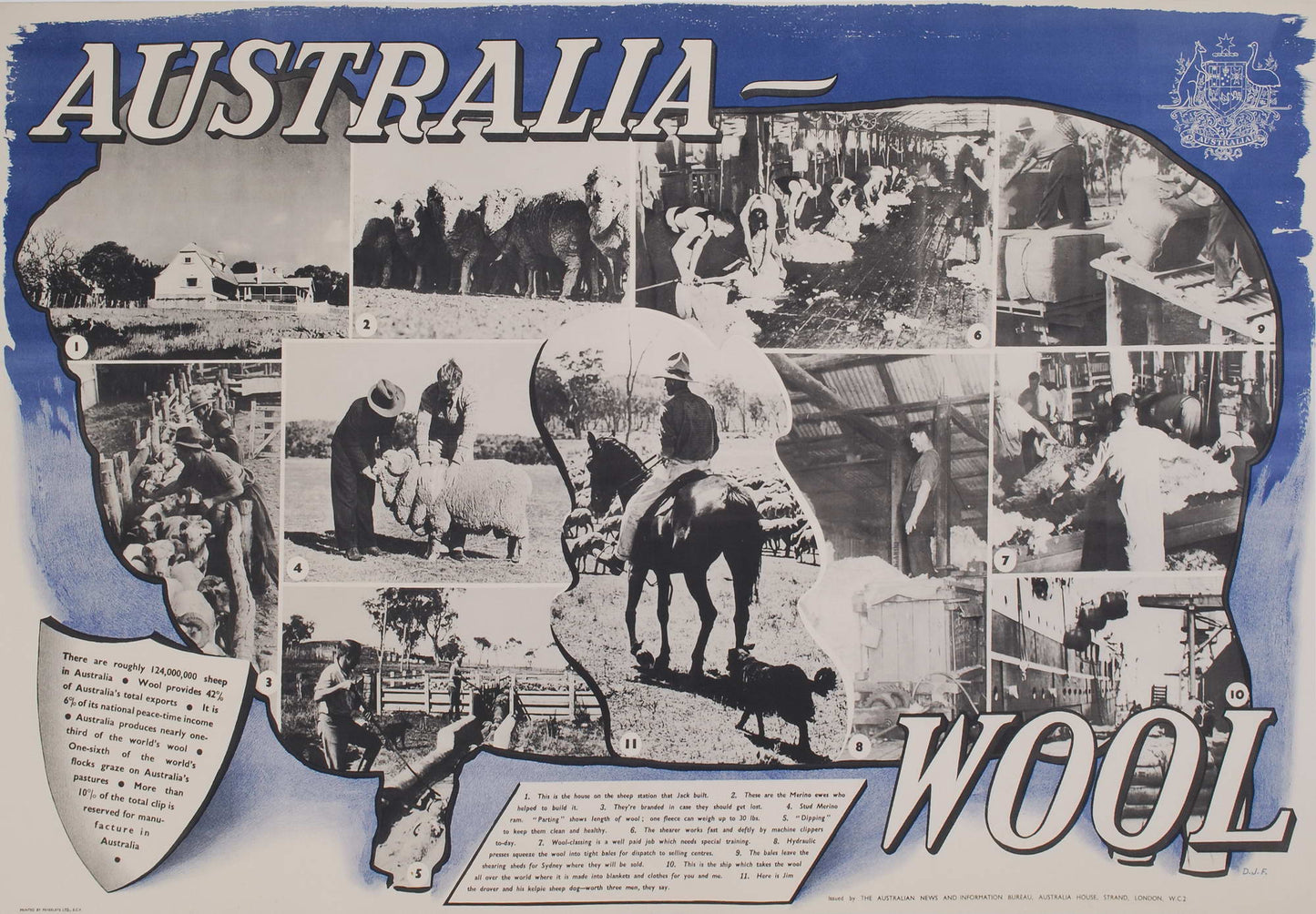 Australia. Wool