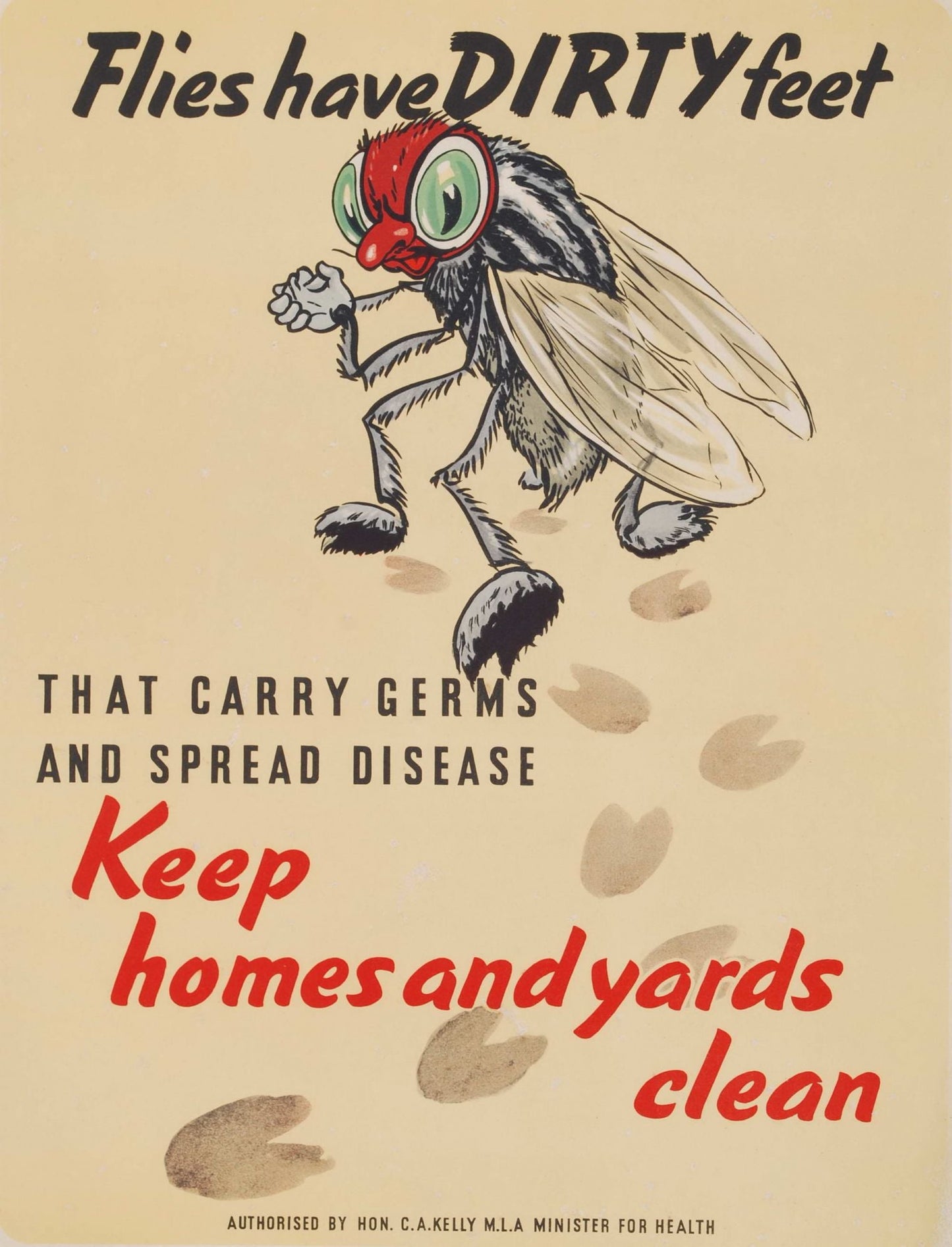 Flies Have Dirty Feet That Carry Germs And Spread Disease