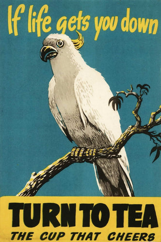Australian Nature and Wildlife posters
