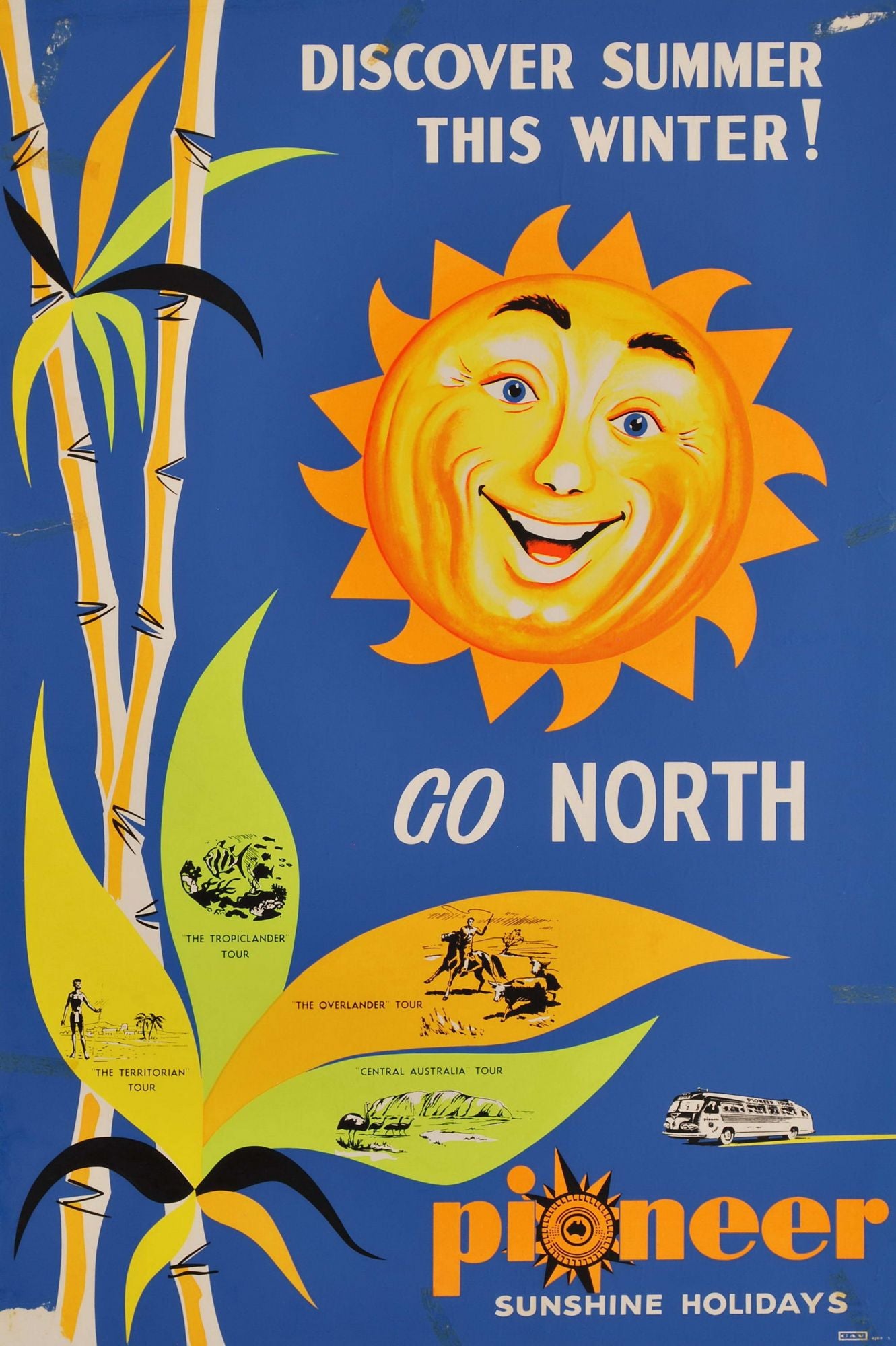 Discover Summer This Winter, Go North. Pioneer Sunshine Holidays