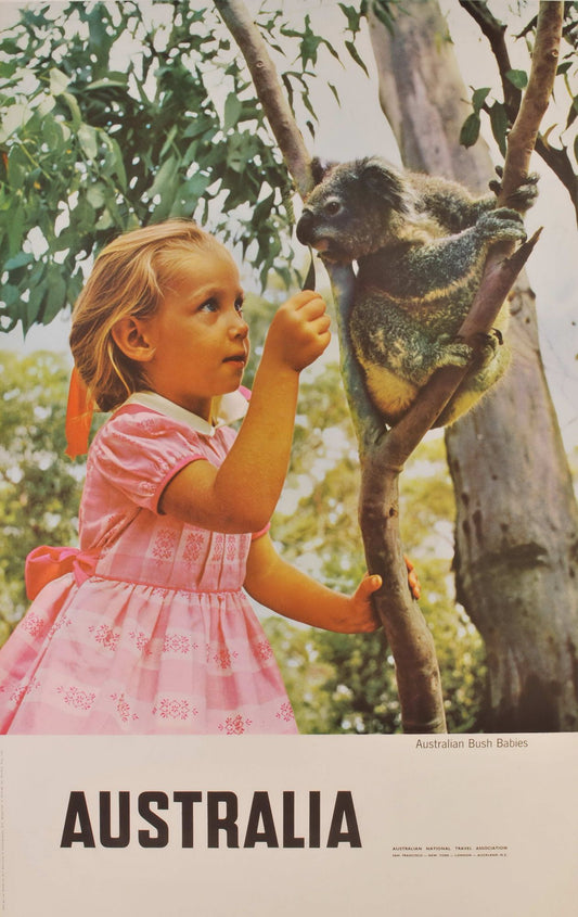 Australian Bush Babies. Australia