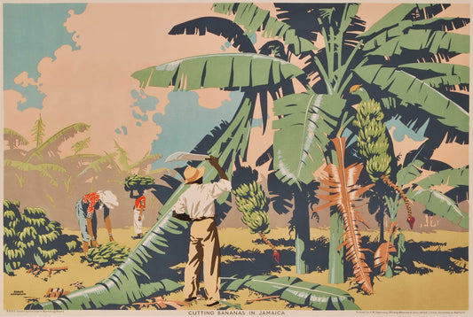 Cutting Bananas In Jamaica