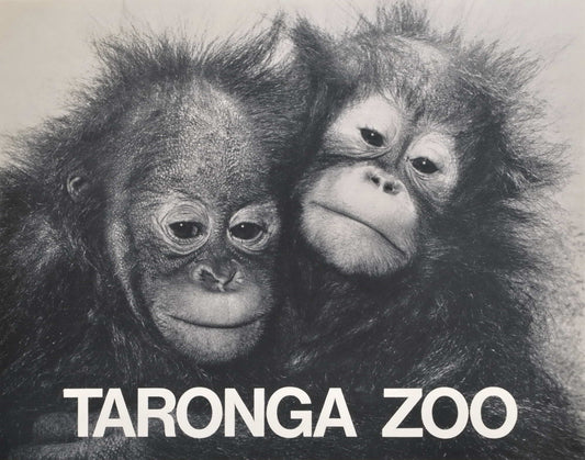 Taronga Zoo [Orangutans]