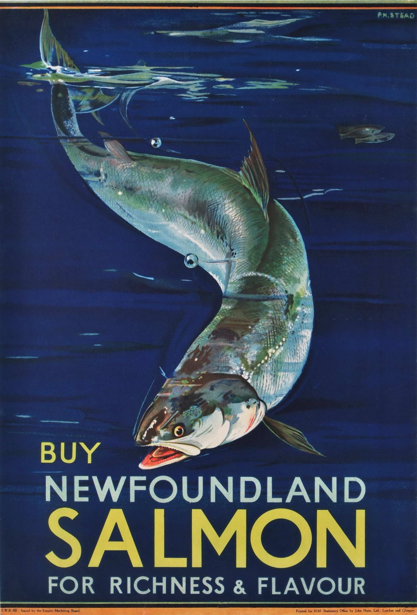 Buy Newfoundland Salmon For Richness And Flavour