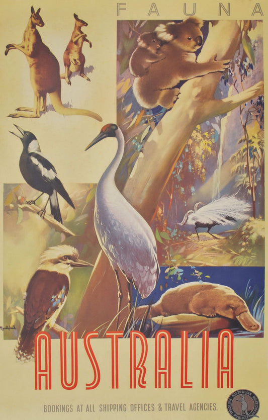 Fauna Australia