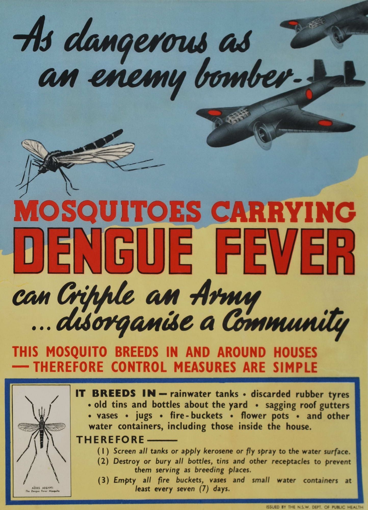 Mosquitos Carrying Dengue Fever. As Dangerous As An Enemy Bomber