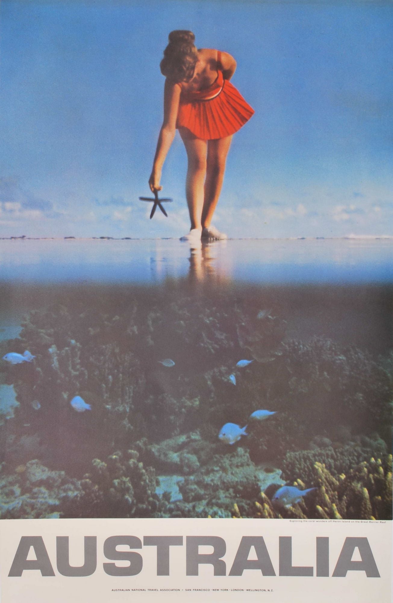 Exploring The Coral Wonders Off Heron Island On The Great Barrier Reef, Australia
